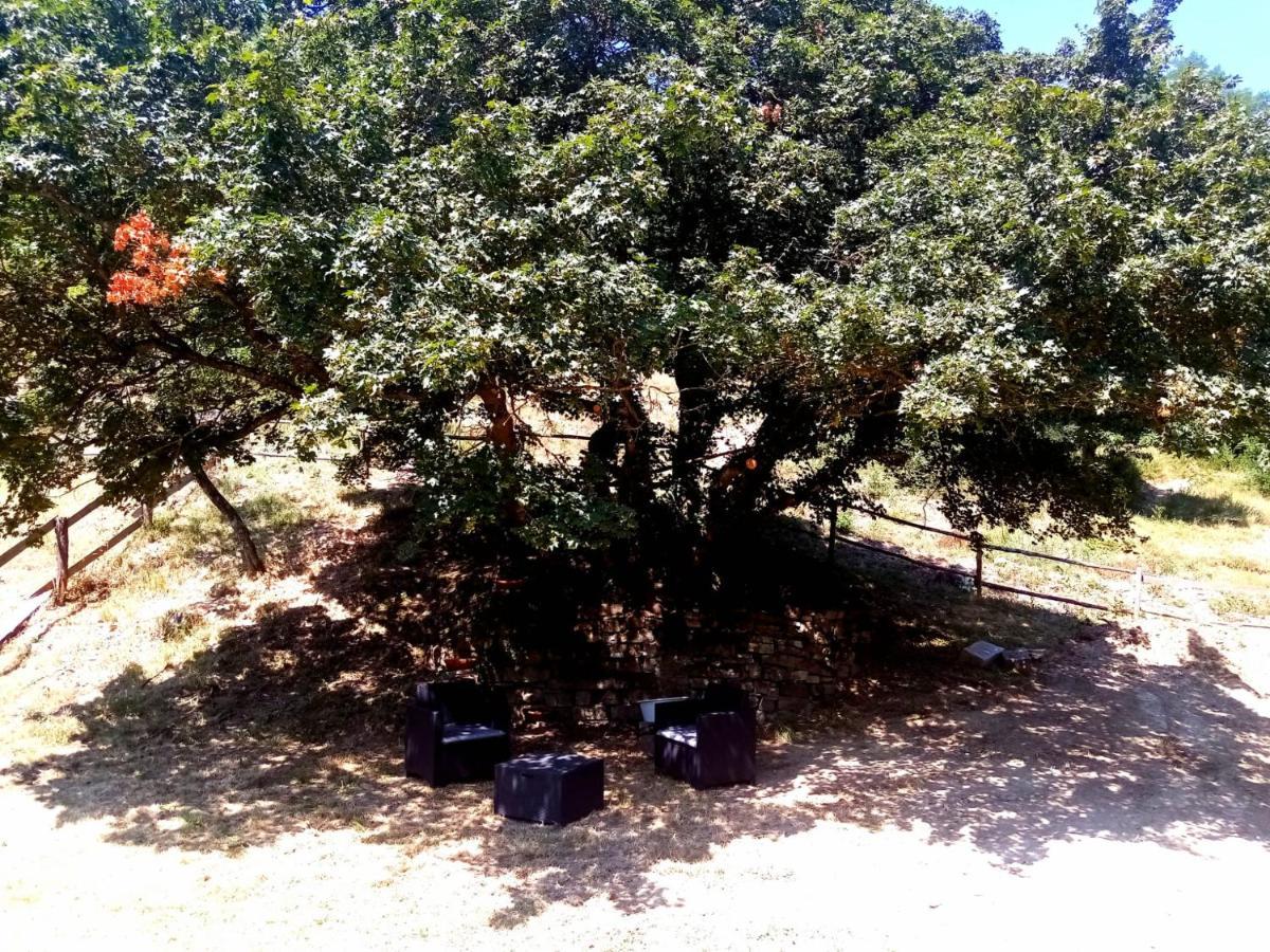 Locanda Di Alberi Borgo San Lorenzo Eksteriør bilde