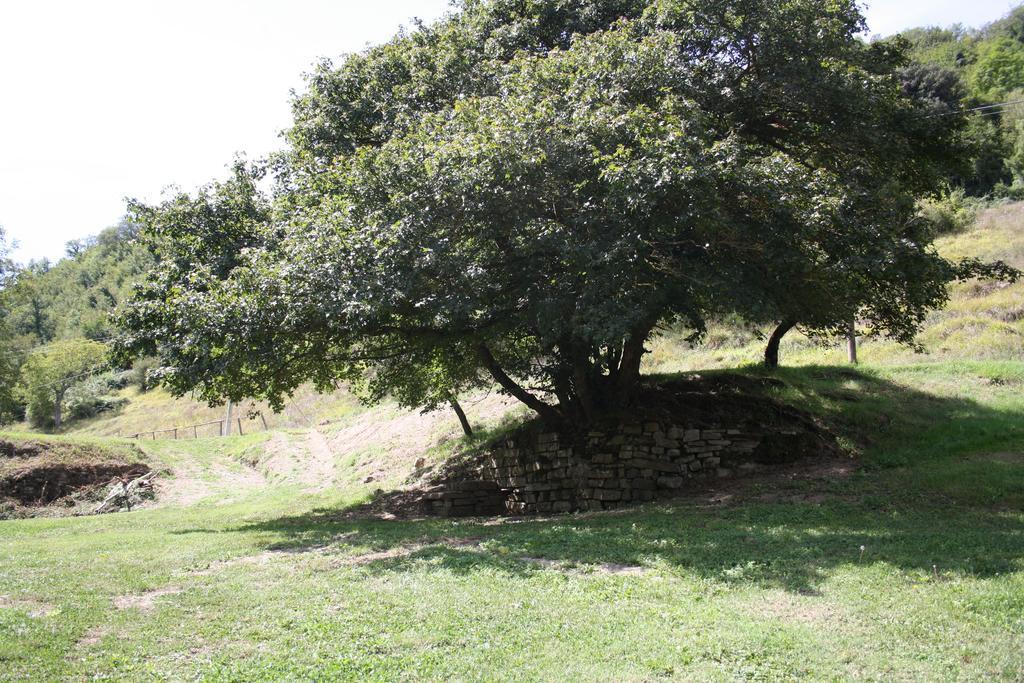 Locanda Di Alberi Borgo San Lorenzo Eksteriør bilde