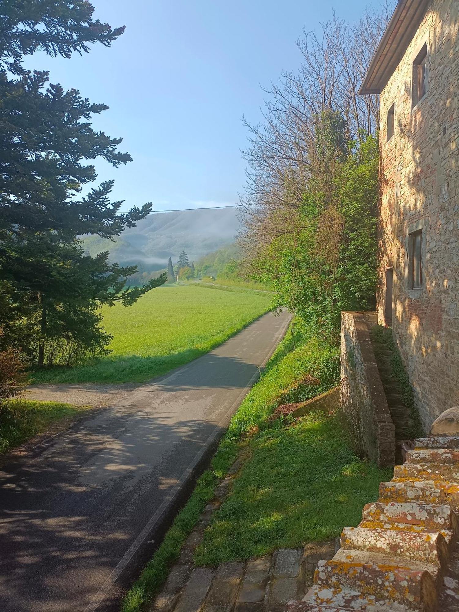 Locanda Di Alberi Borgo San Lorenzo Eksteriør bilde