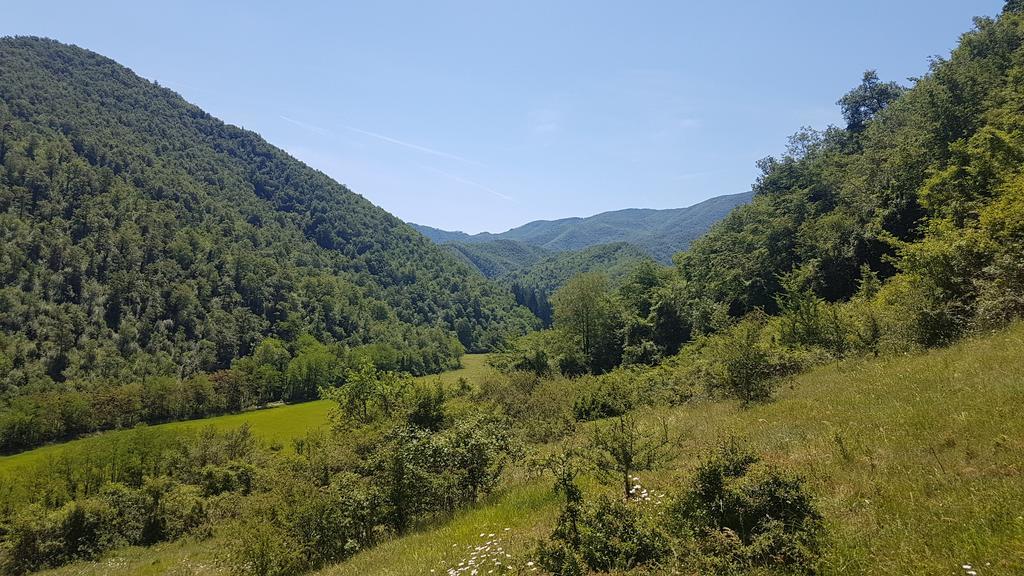 Locanda Di Alberi Borgo San Lorenzo Eksteriør bilde